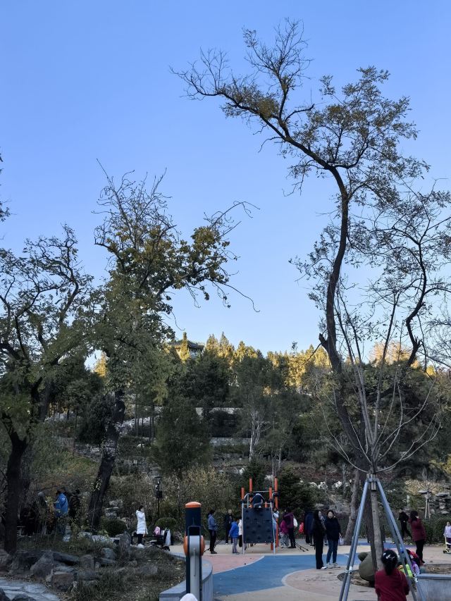 北京东单公园游玩攻略简介,北京东单公园门票/地址/图片/开放时间/照片/门票价格【携程攻略】