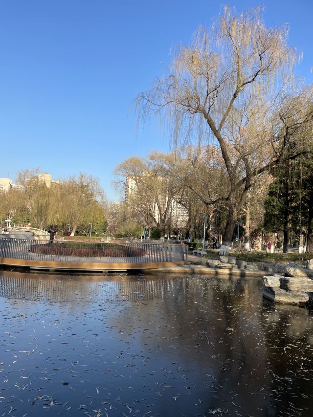 陶然亭旅行图片 2