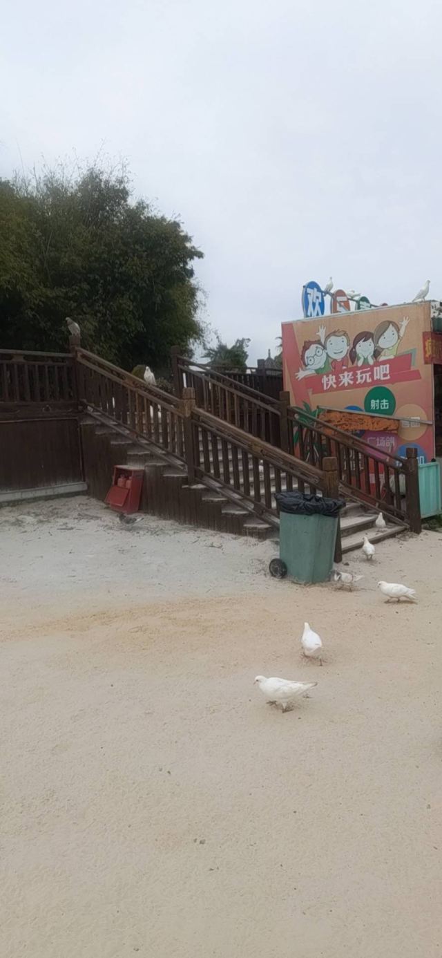 蜜泉湖旅游度假区旅行图片 4