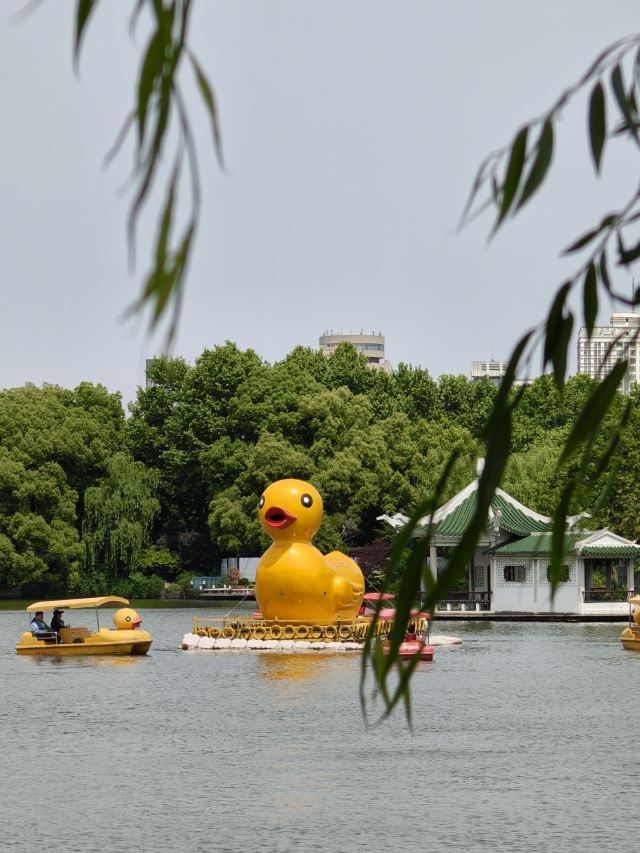 上海长风公园旅行图片 1