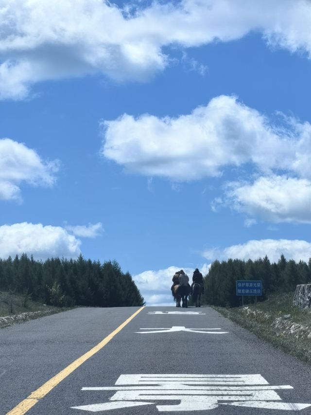 黄岗梁国家森林公园旅行图片 6