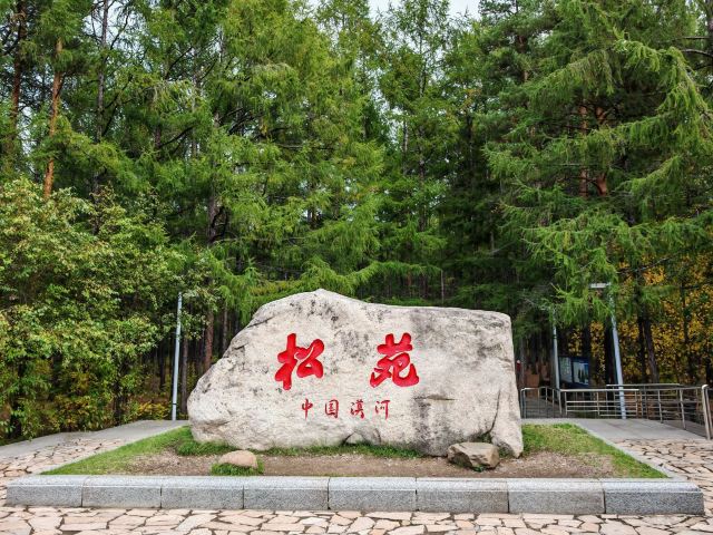 大兴安岭五·六火灾纪念馆-松苑旅行图片 5