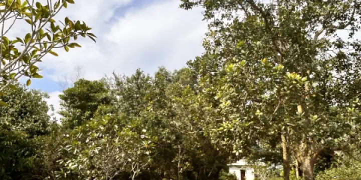 Pura Agung Amerta Buana