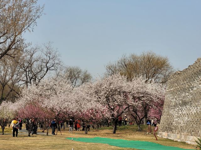 北京明城墙遗址公园旅行图片 9