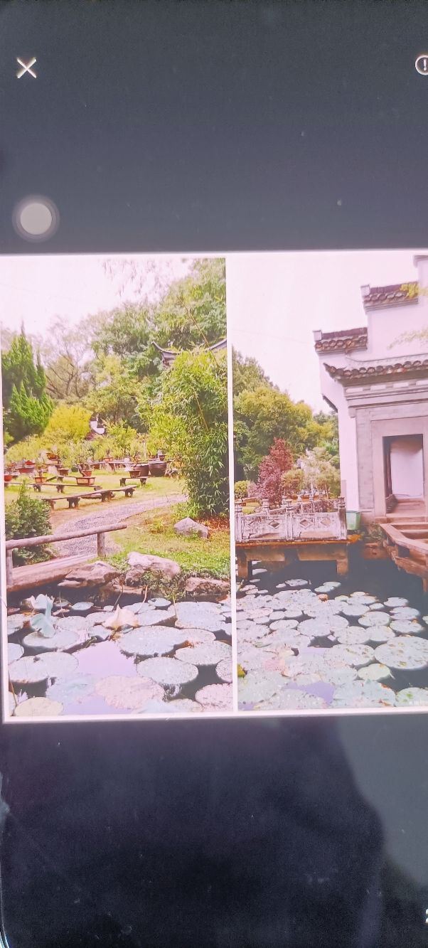 安庆市菱湖风景区旅行图片 1