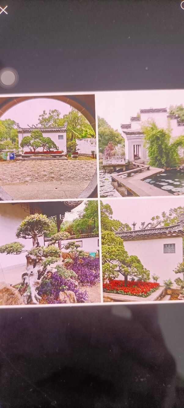 安庆市菱湖风景区旅行图片 3