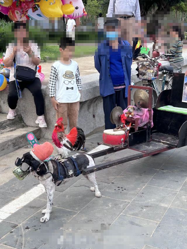 海滨公园旅行图片 1