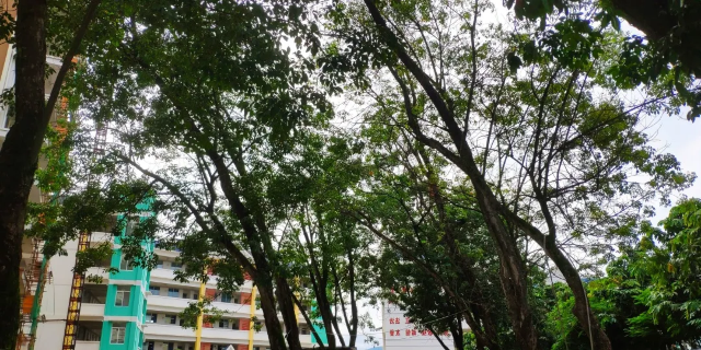 王震部长试验田纪念碑旅行图片 8