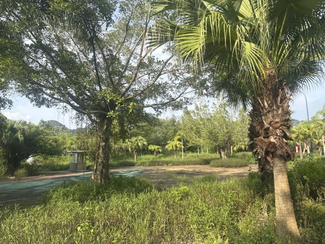 龙谷湾旅游休闲度假区旅行图片 6