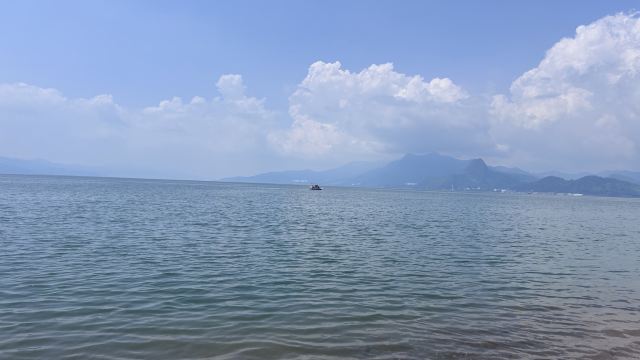 广龙抚海湾湿地公园旅行图片 8