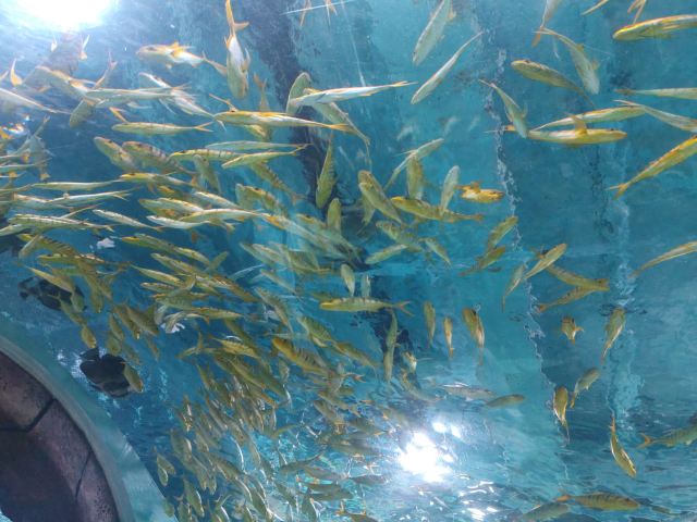 海蓝星梦幻城旅行图片 3