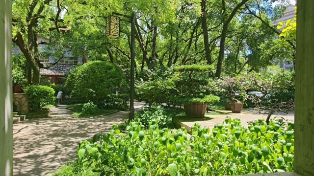 鹅岭公园旅行图片 1