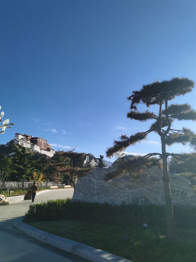 团结公园旅行图片 2