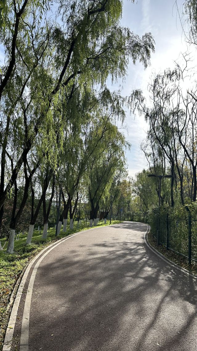 西安浐灞国家湿地公园旅行图片 9