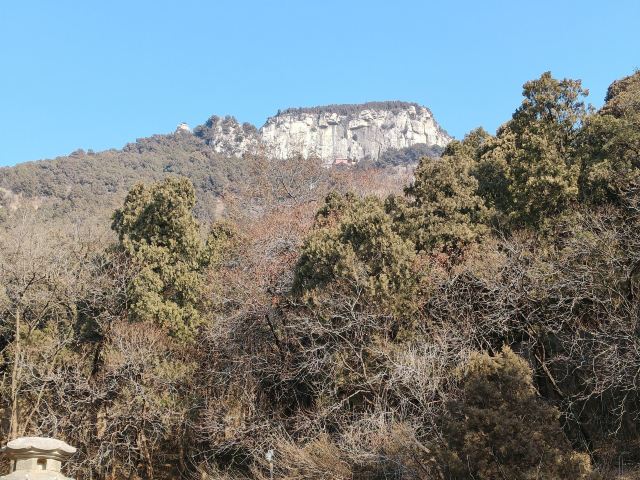 灵岩寺景区旅行图片 4