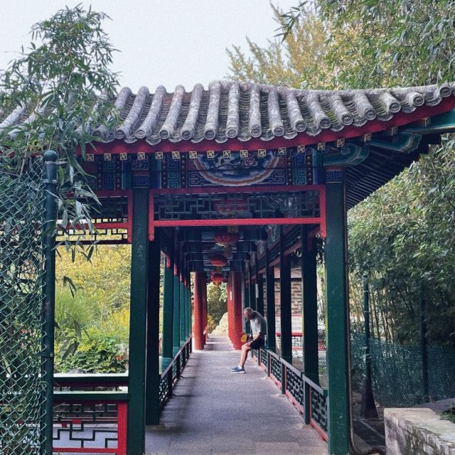 宣武艺园旅行图片 4