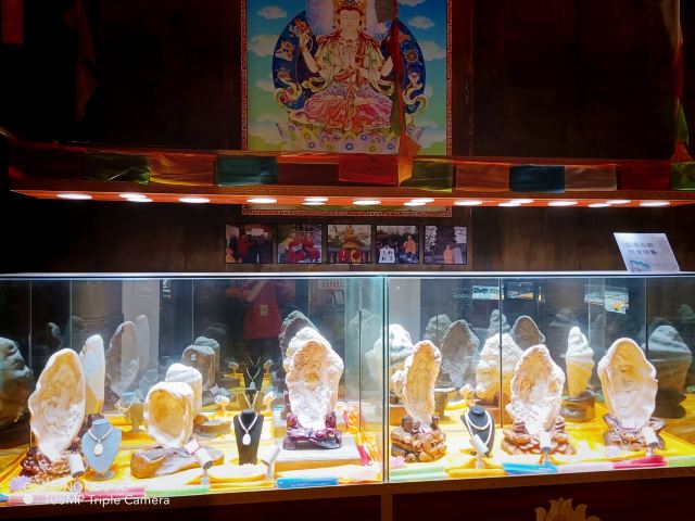 日塔旅行图片 9