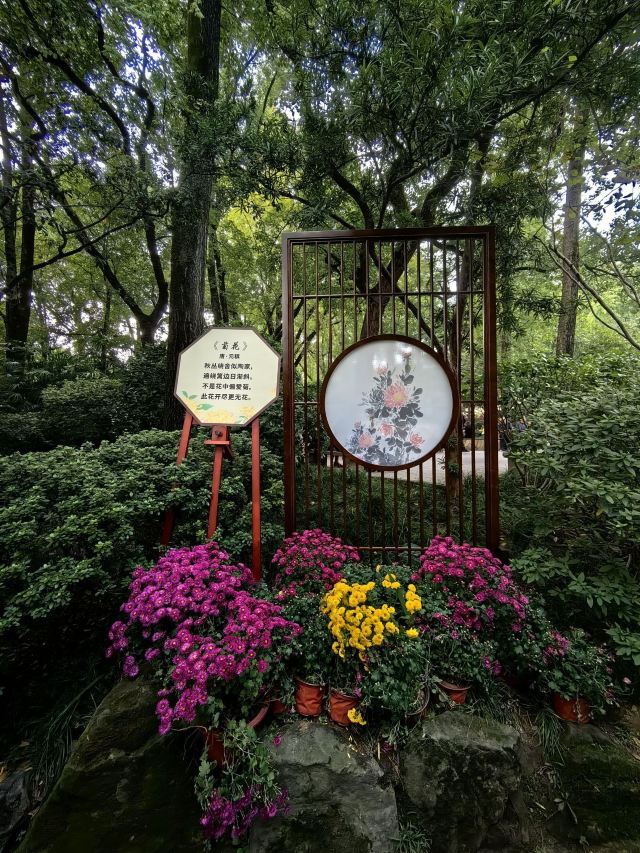 鹅岭公园旅行图片 4
