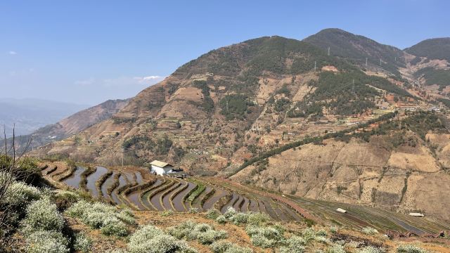 新山梯田旅行图片 1