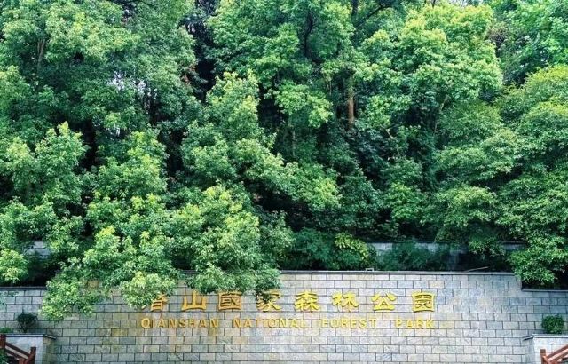 潜山国家森林公园旅行图片 1