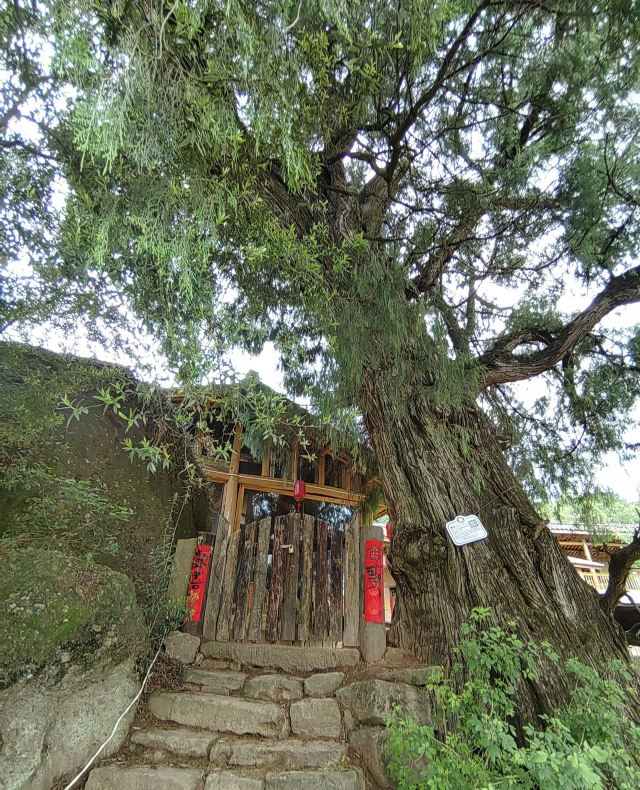 先秦古蜀道旅行图片 6