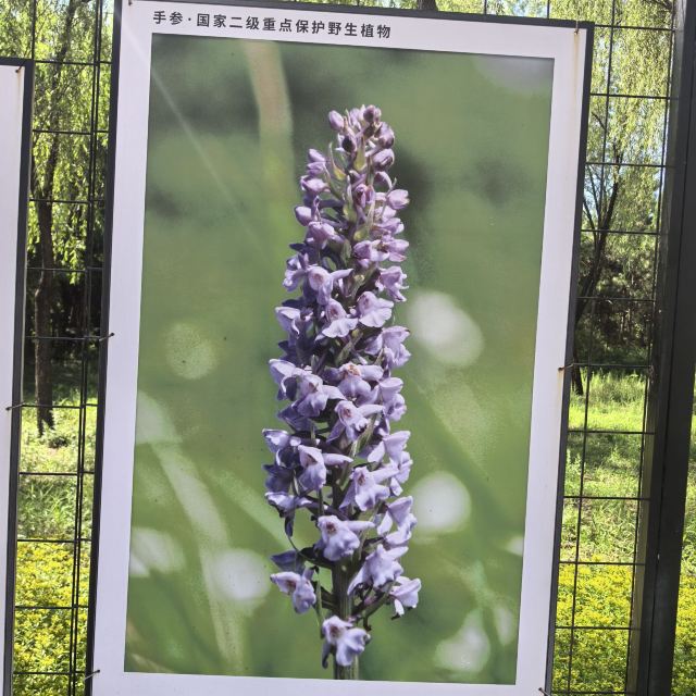野鸭湖国家湿地公园旅行图片 6