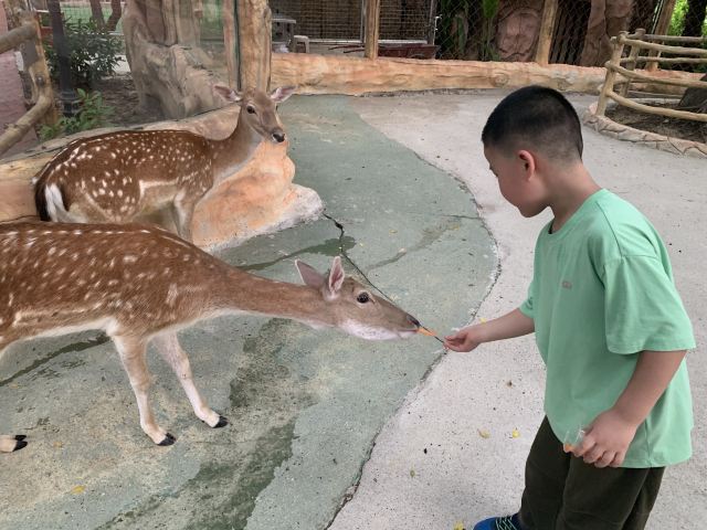 隐贤山庄旅行图片 3