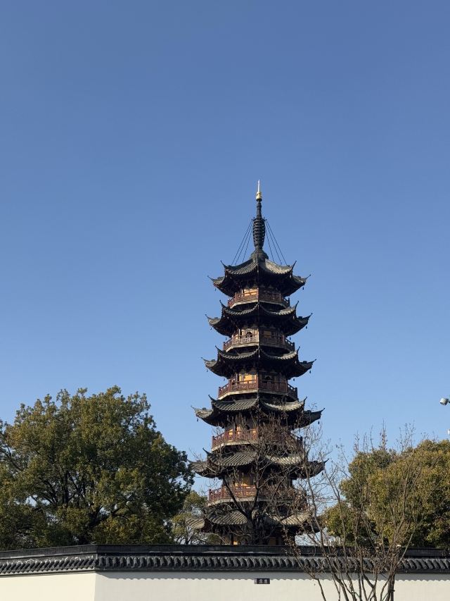 龙华寺旅行图片 2