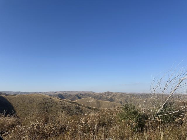 红石崖国家生态公园旅行图片 3