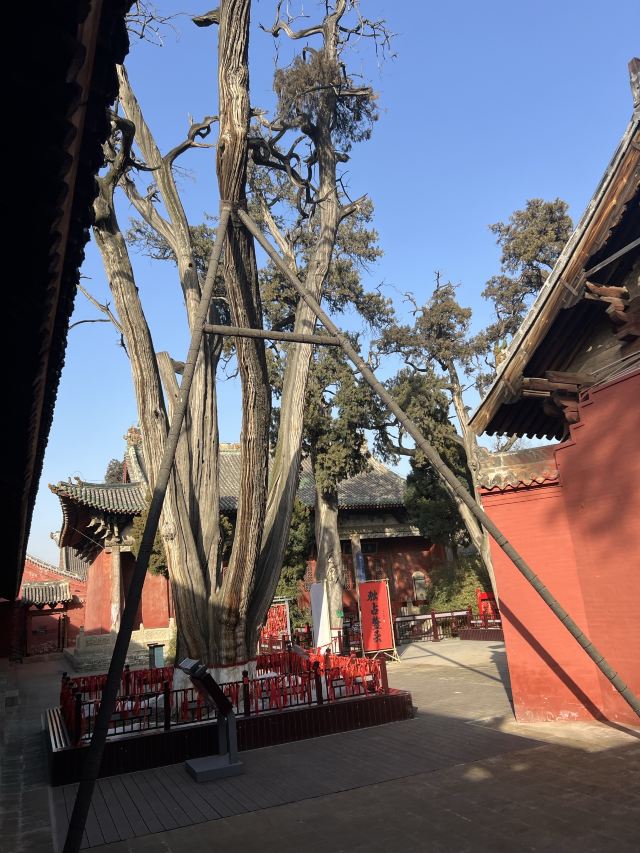 韩城古城旅行图片 5