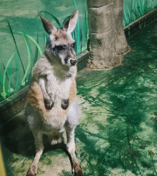 长春市动植物公园旅行图片 5