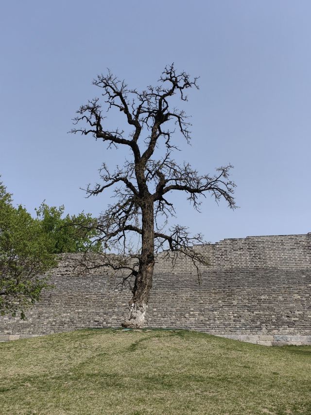 北京明城墙遗址公园旅行图片 2
