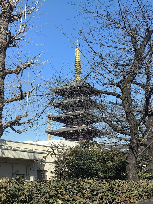 浅草寺位置图片