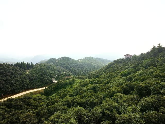 水城国家杜鹃公园旅行图片 4