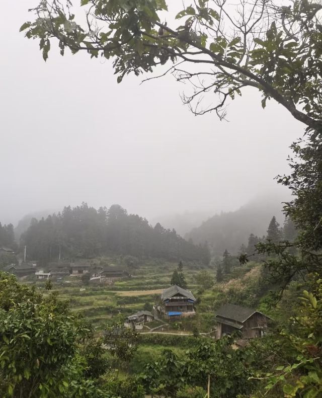地笋苗寨旅行图片 1