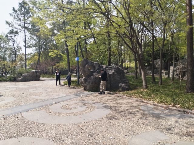上海世纪公园旅行图片 1