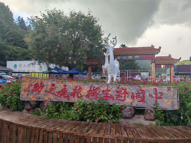 飞泷金山鹿苑旅行图片 8
