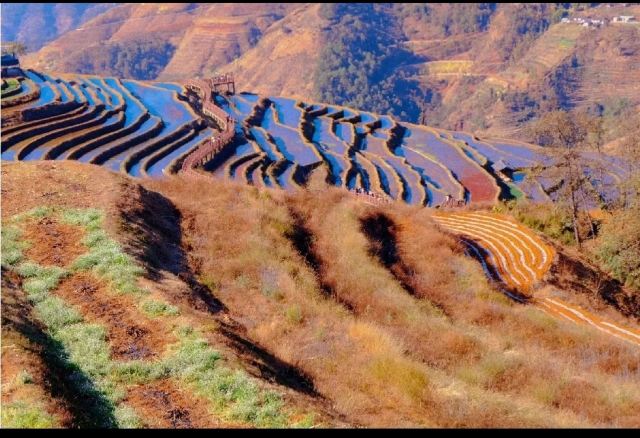 新山梯田旅行图片 3