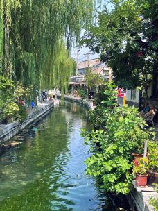 曲水亭街-济南-哥玛兽