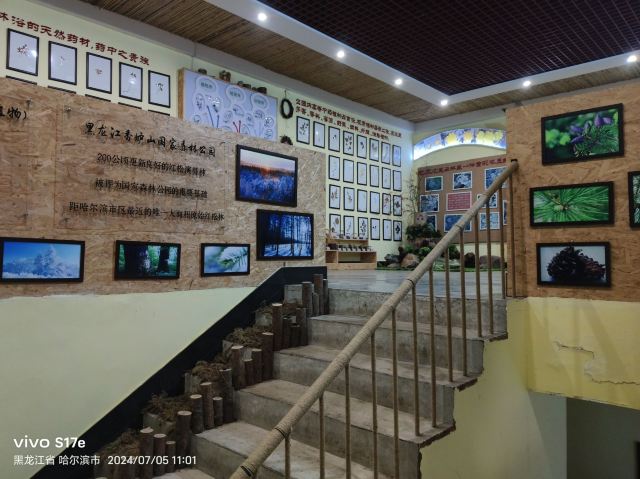 香炉山国家森林公园-自动售卖机旅行图片 5