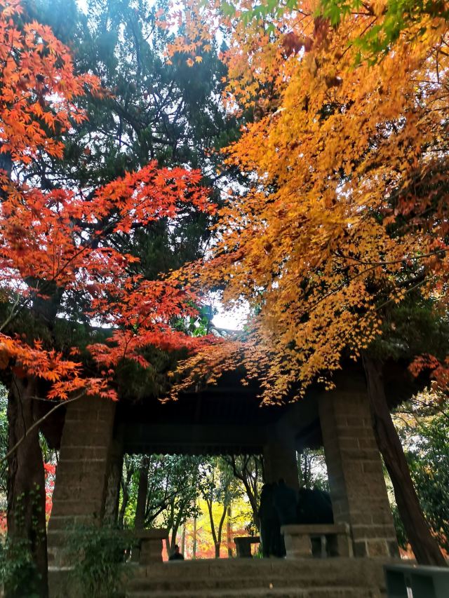 上海鲁迅公园旅行图片 2