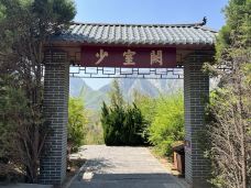 登封-会飞的蚂蚁1