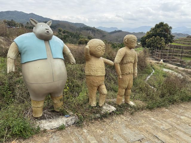 牙胡梯田景区旅行图片 8