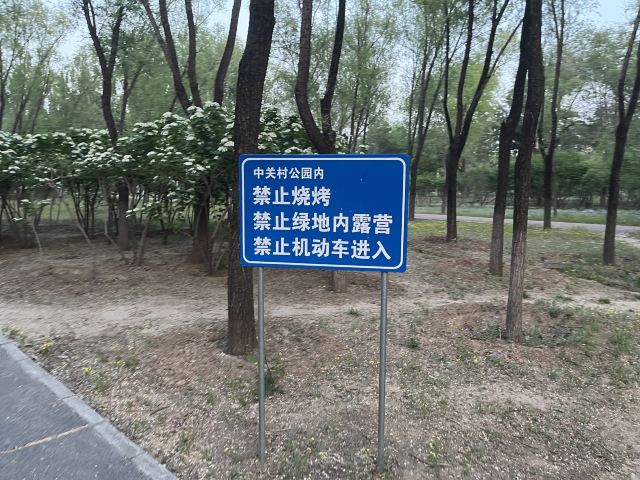 中关村公园旅行图片 2