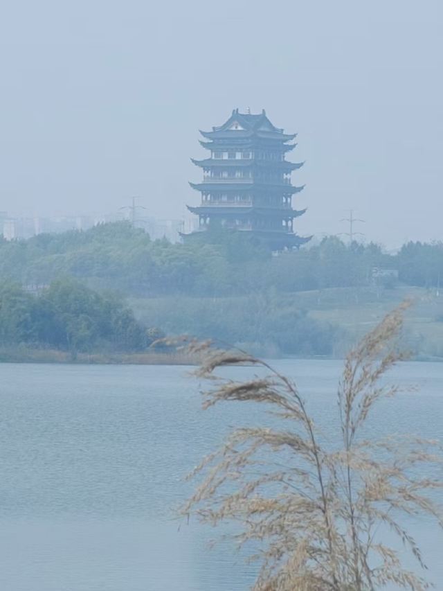 安徽宣城宛陵湖省级湿地公园旅行图片 2