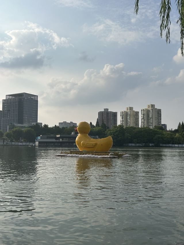 上海长风公园旅行图片 6