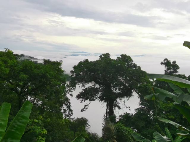 海南百花岭热带雨林文化旅游区-小卖部旅行图片 3
