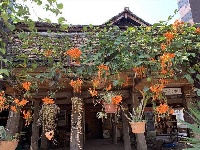 曼掌村旅行图片 1