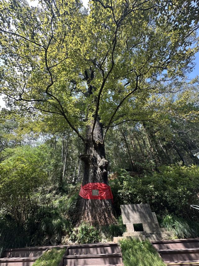 灵栖洞旅行图片 1