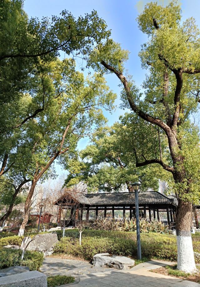 东洲岛旅行图片 8
